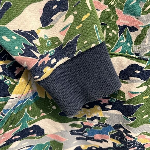 The North Face Youth Medium Jaiden Green Valley Allover Print Pullover Hoodie - Picture 9 of 12